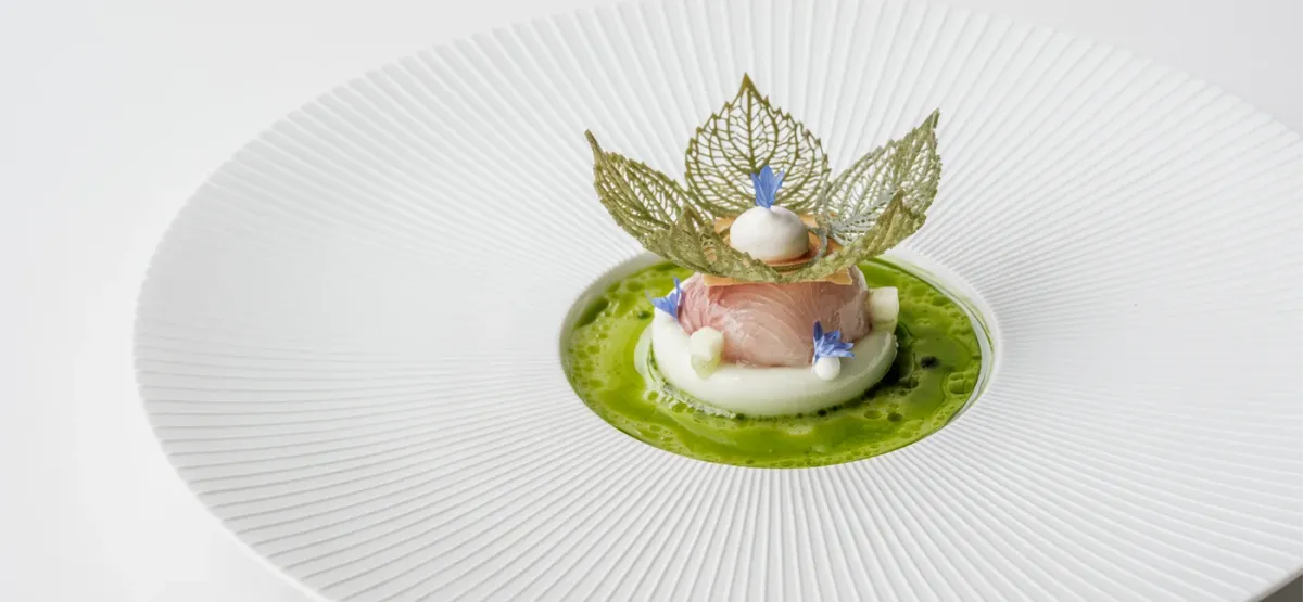 Beluga Loves You foto 5