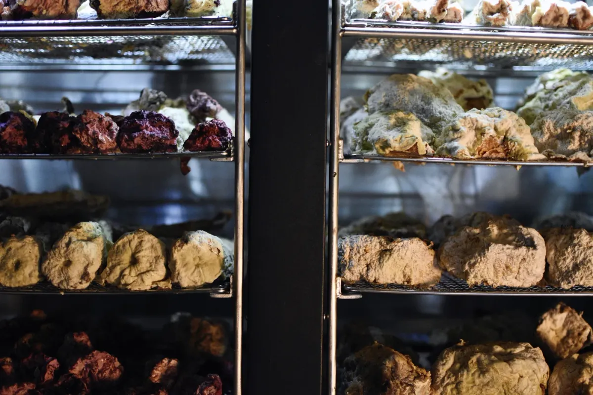 Bistro Flores foto 3