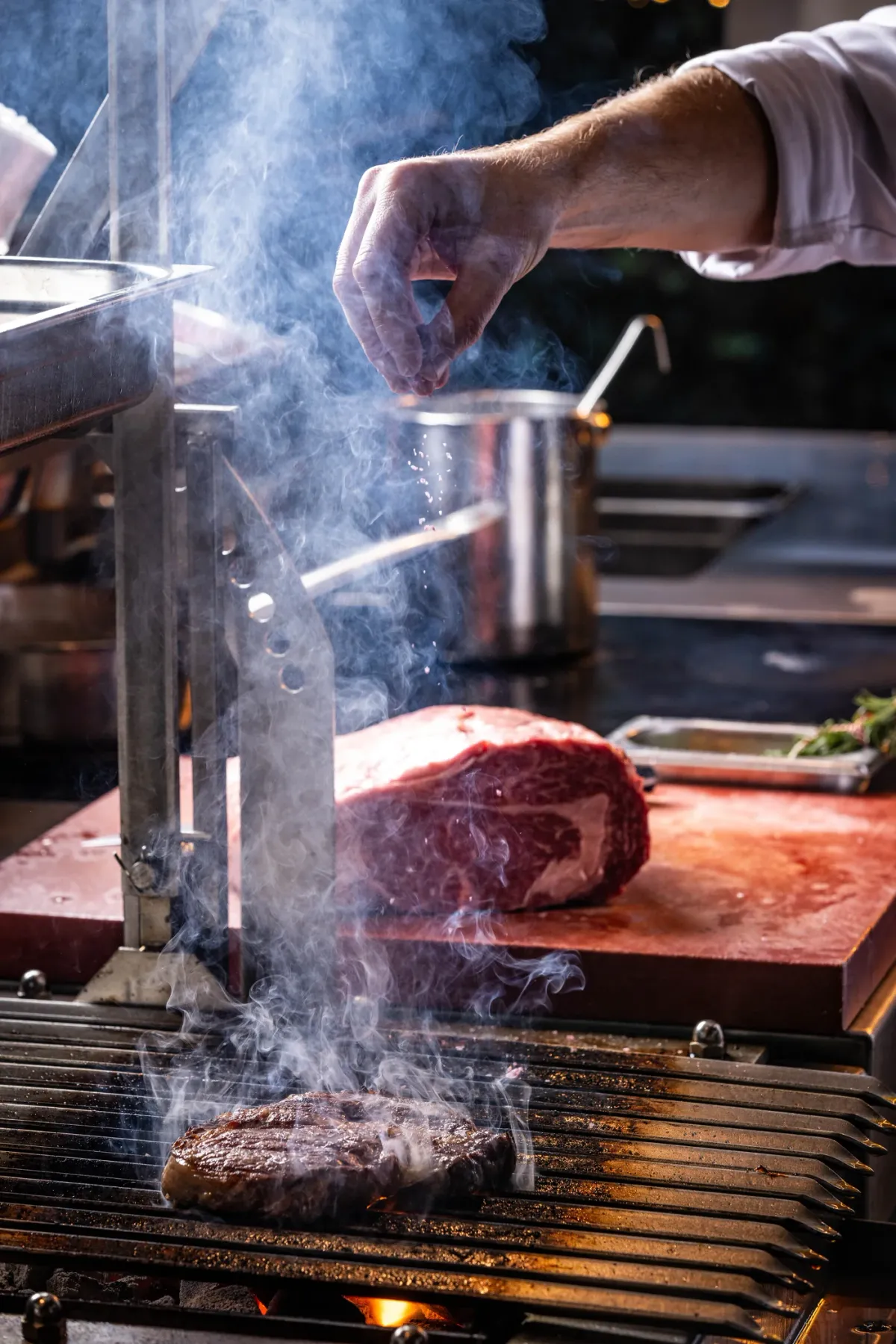 Bodega Portillo foto 5