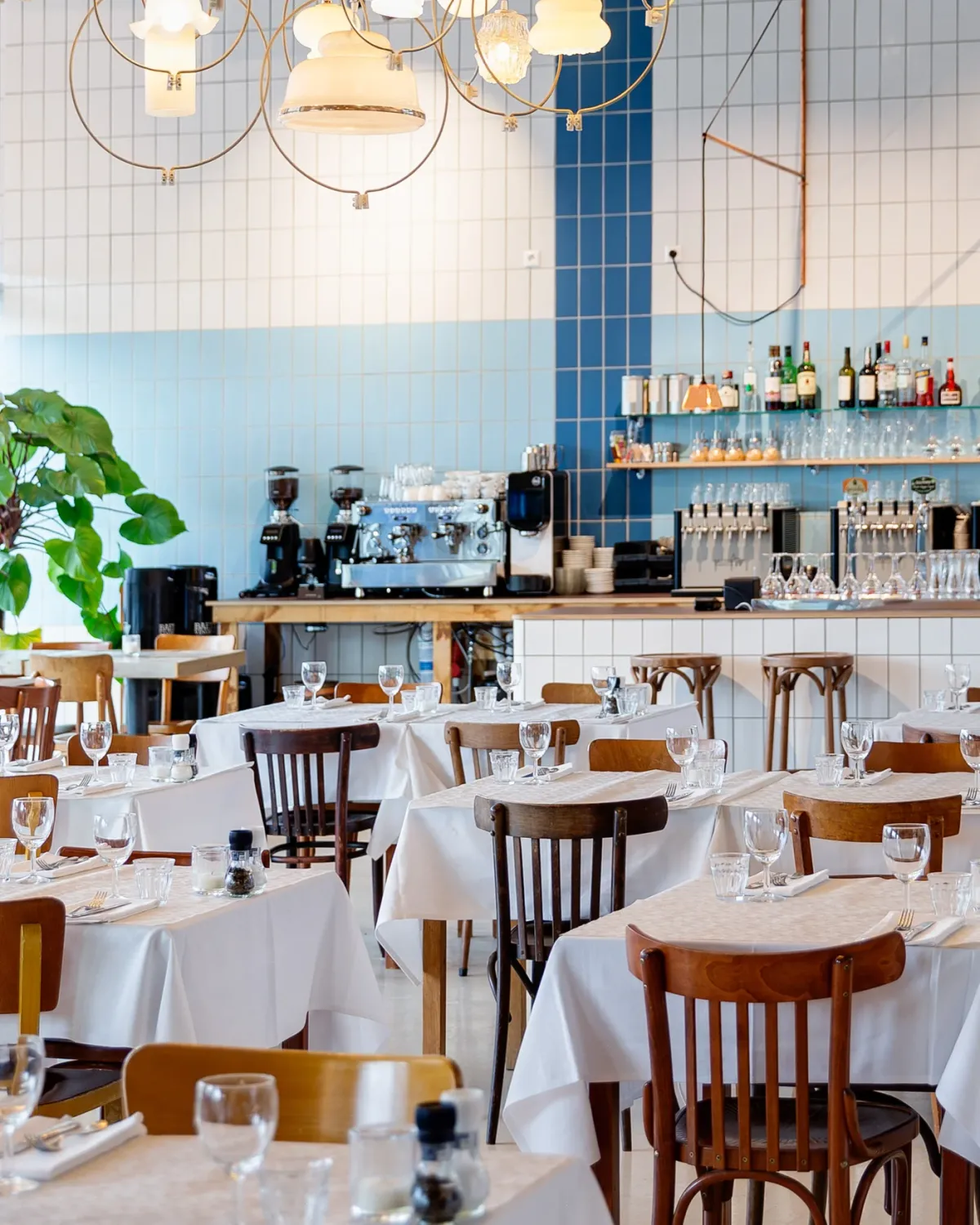 Café Coberco foto 4