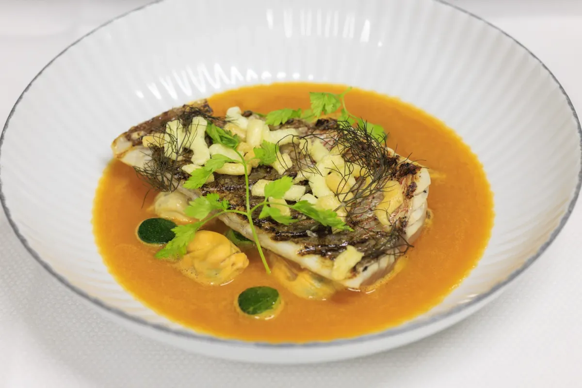 Cottontree City by Dimitri foto 3