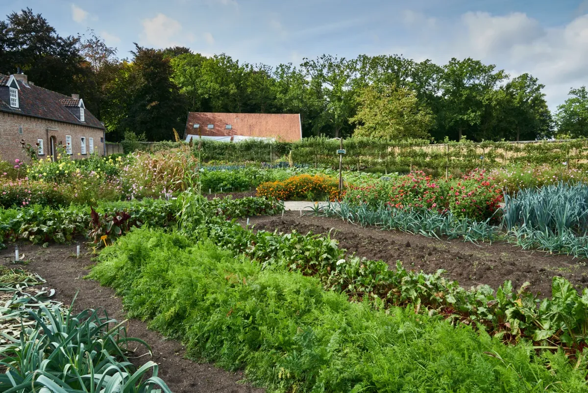 De Blauwe Camer foto 2