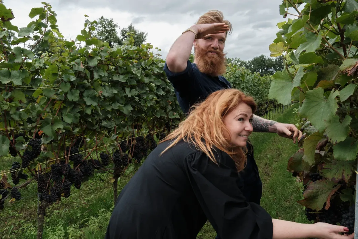 De Blauwe Camer foto 3