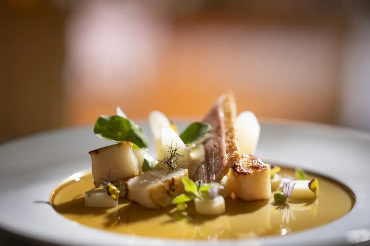 De Heeren van Harinxma foto 5