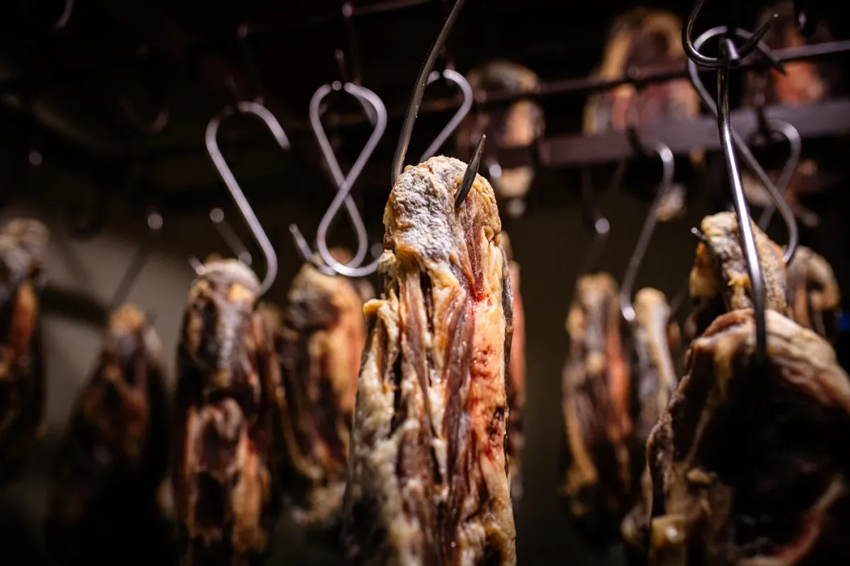 De Jufferen Lunsingh foto 2