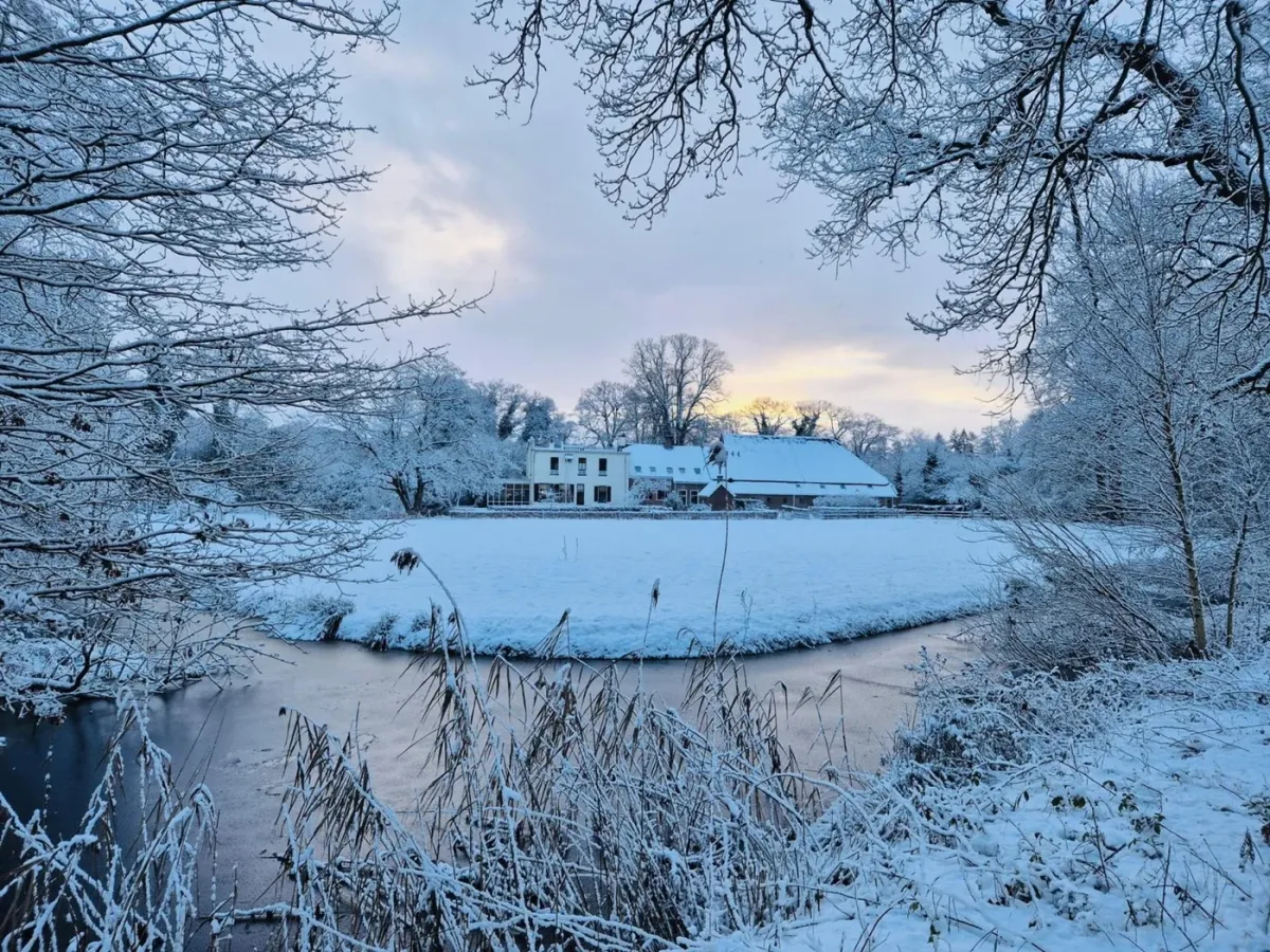 De Jufferen Lunsingh foto 5