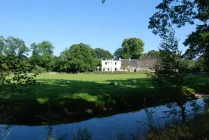 De Jufferen Lunsingh