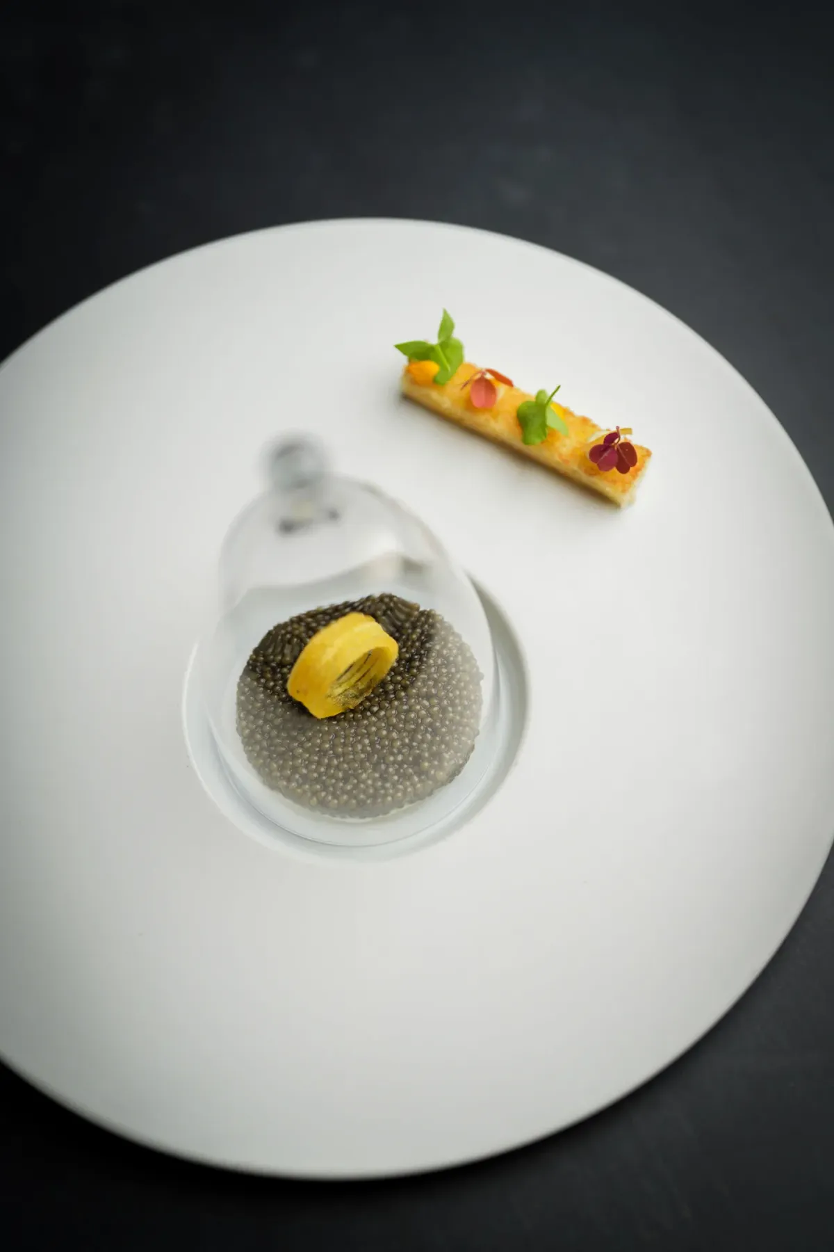 De Swarte Ruijter foto 3