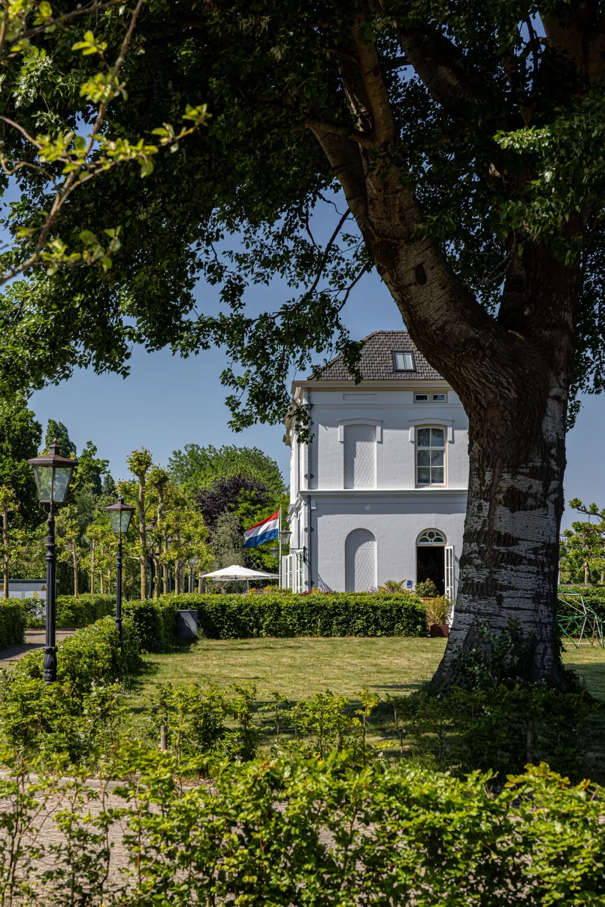 De Witte Dame foto 3