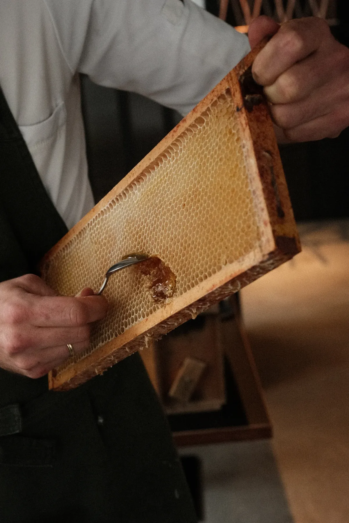 Dinner at Six foto 2