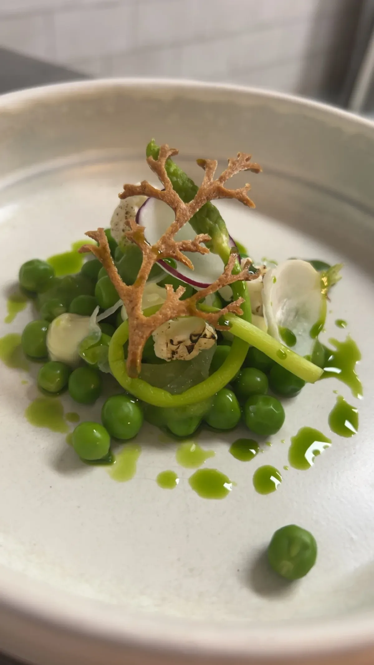 Het Bloemendaeltje foto 5