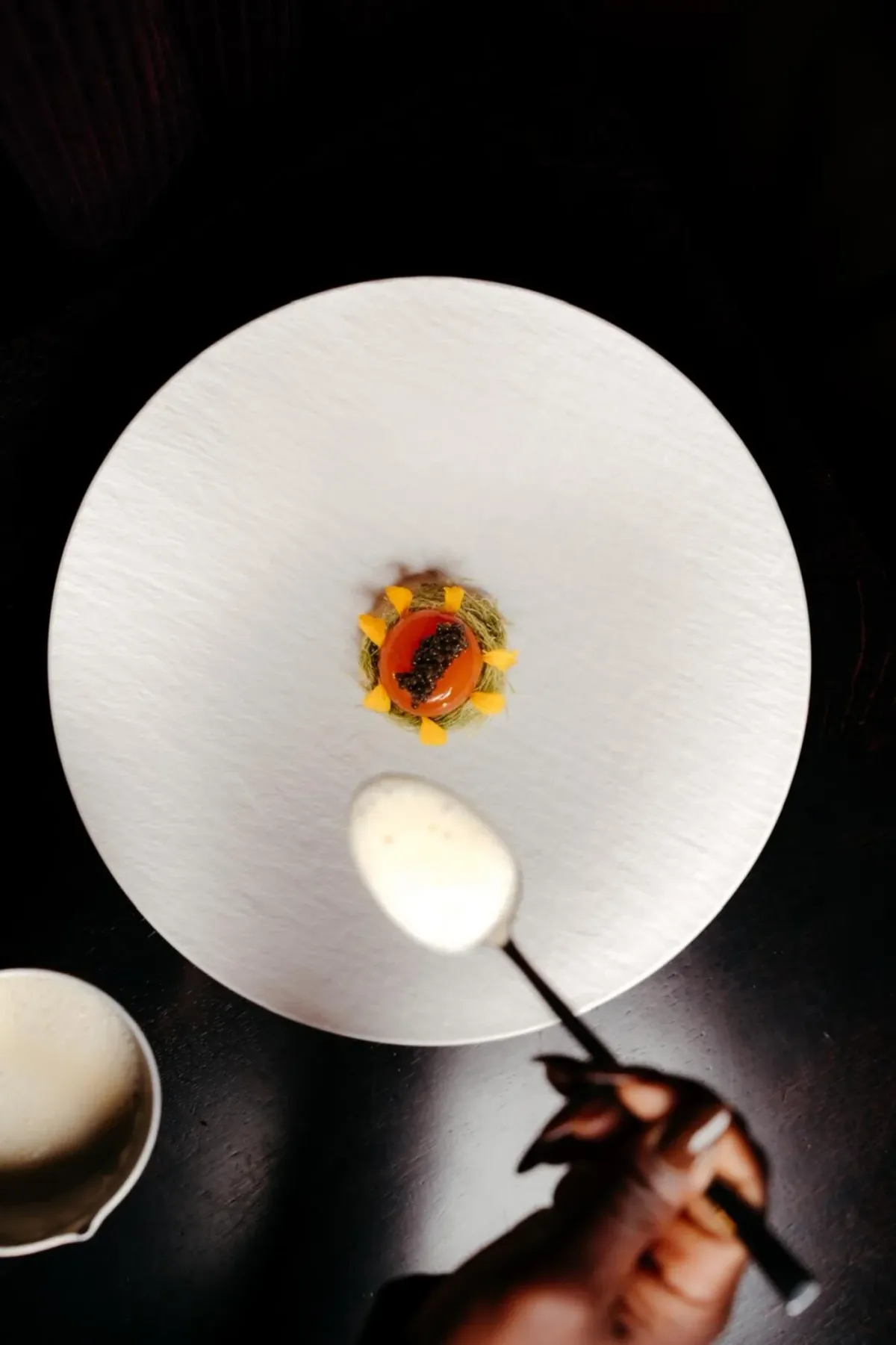 Lillie Wine Rebel foto 5