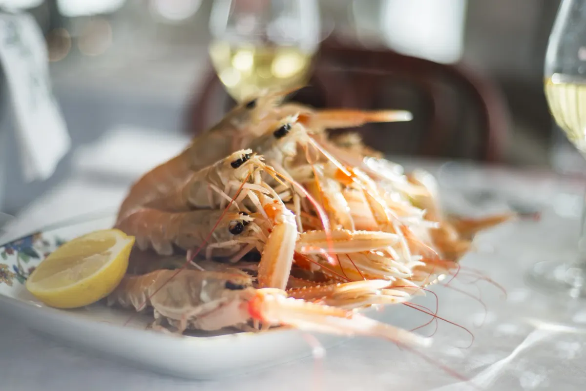 Mevrouw Meijer foto 4