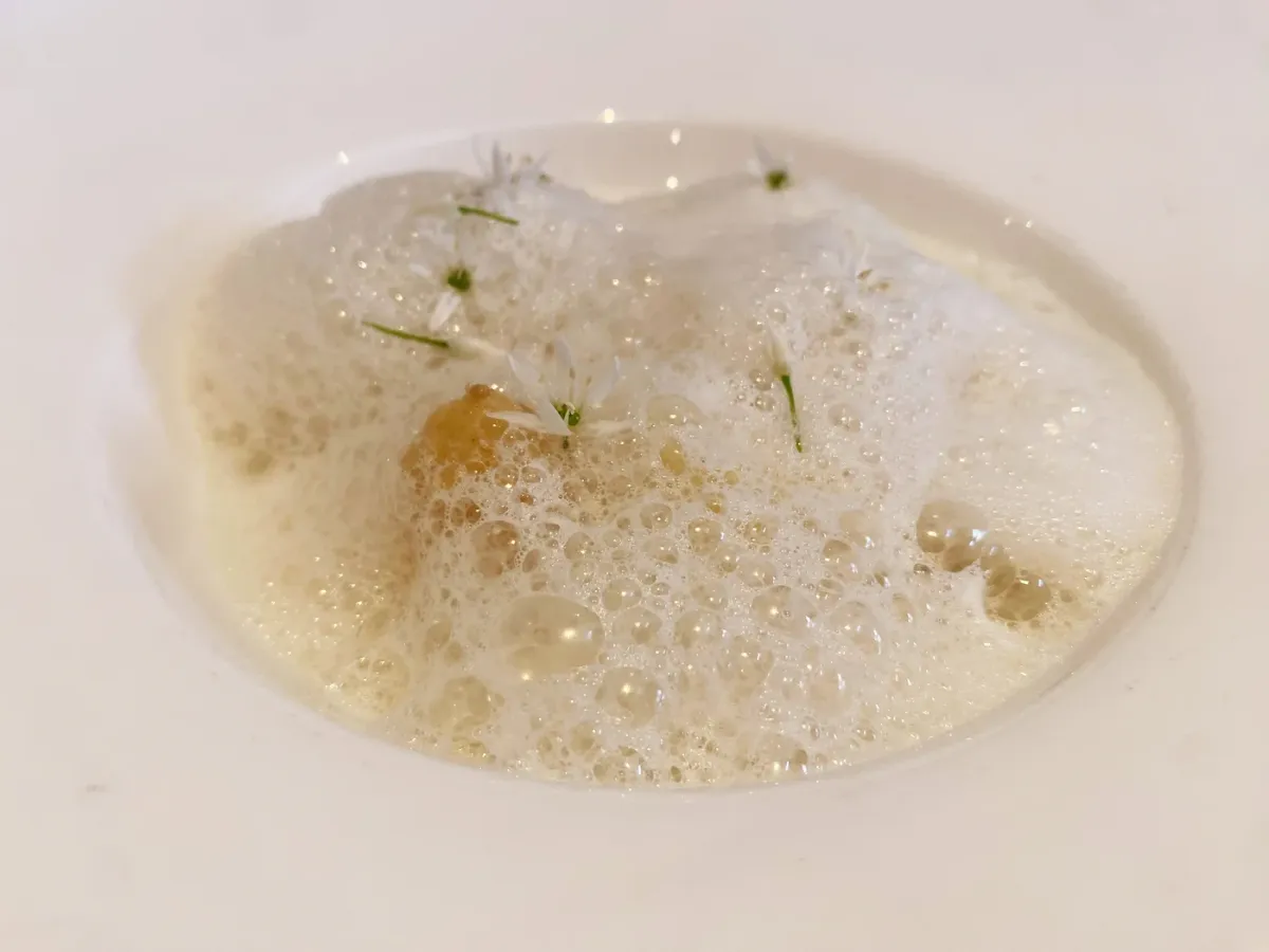 Morris & Bella foto 4