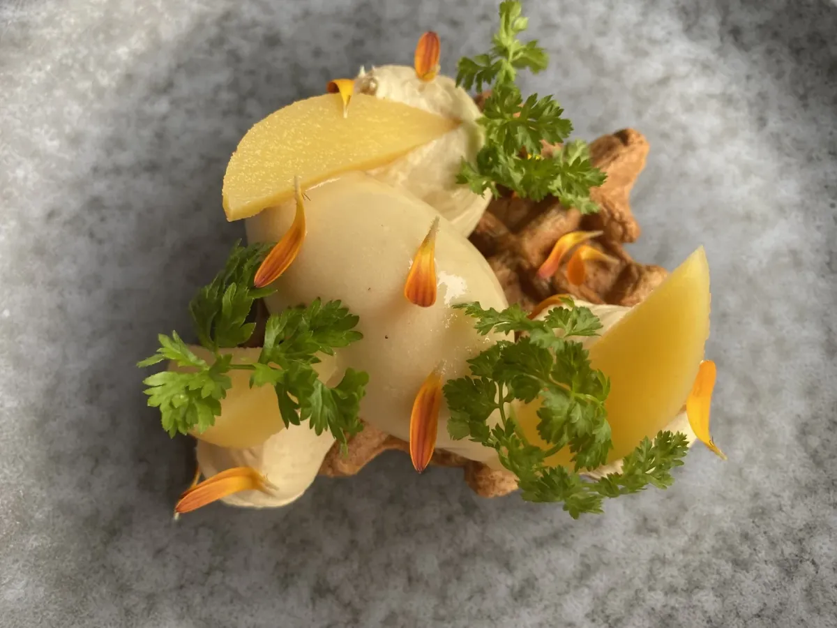 Morris & Bella foto 5