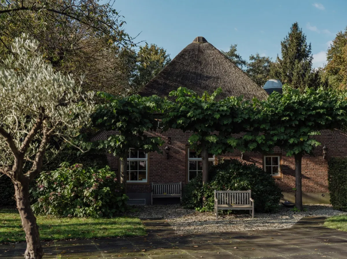 Muggels by Gijs foto 2