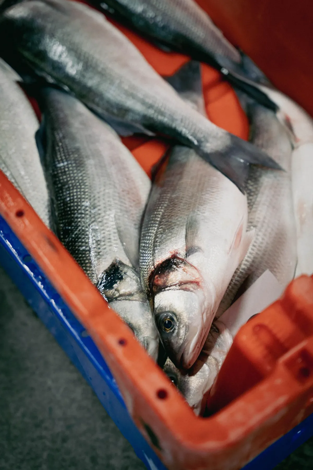 Salty Seafood Restaurant foto 2