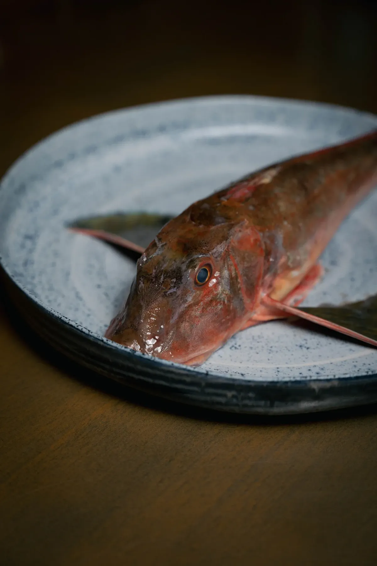 Salty Seafood Restaurant foto 5