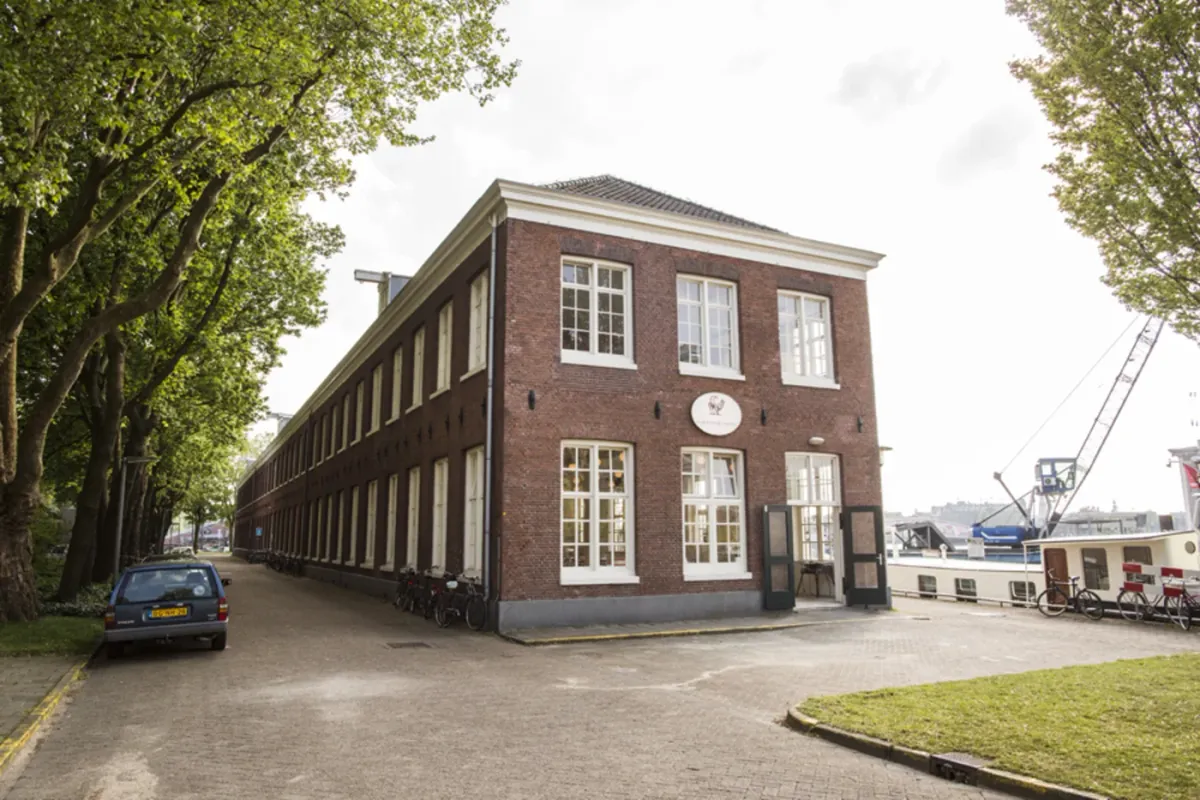 Scheepskameel foto 3