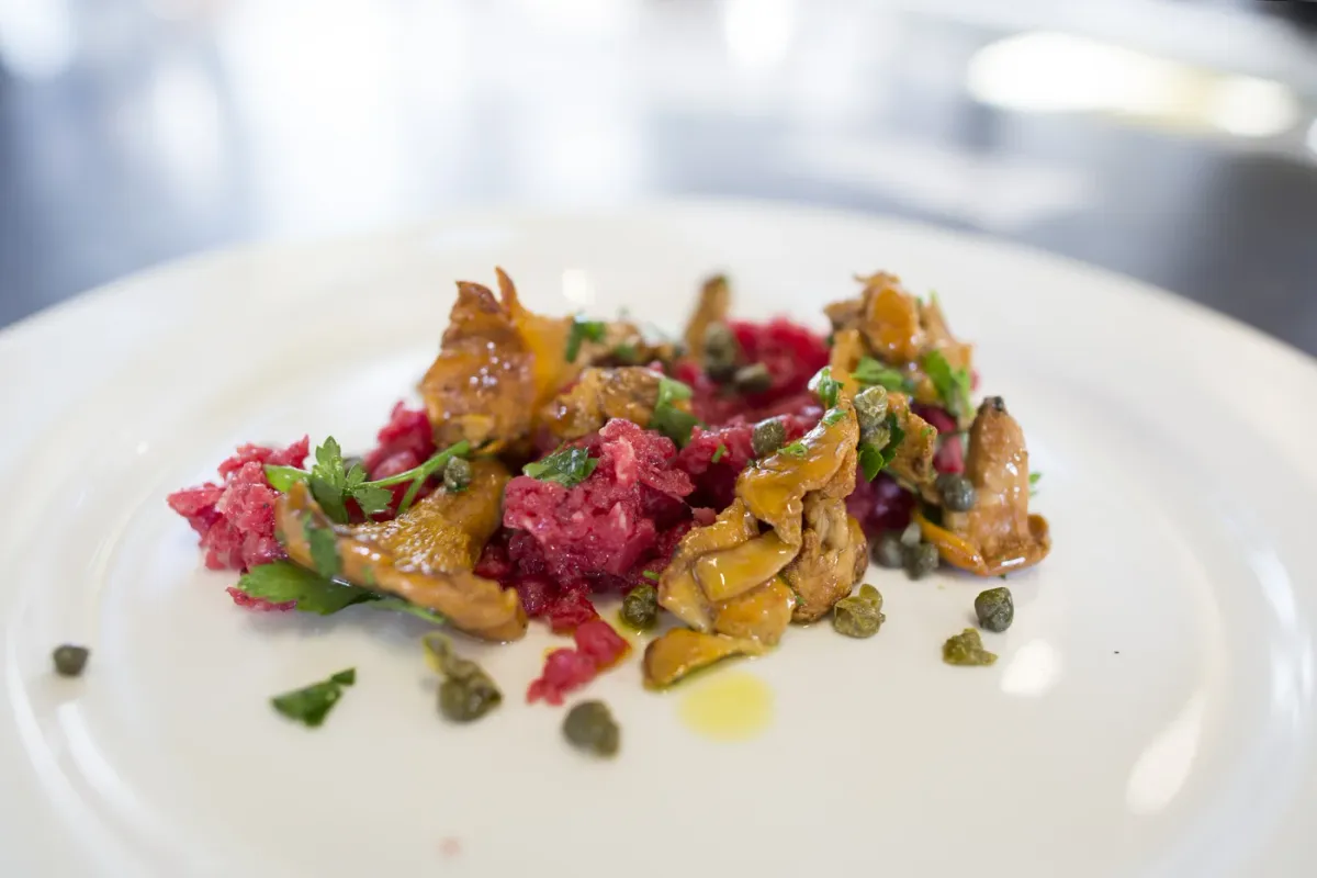 Scheepskameel foto 4