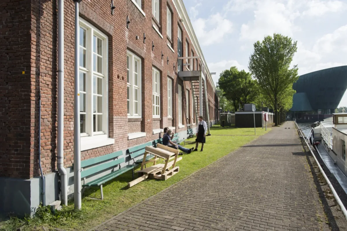 Scheepskameel foto 5