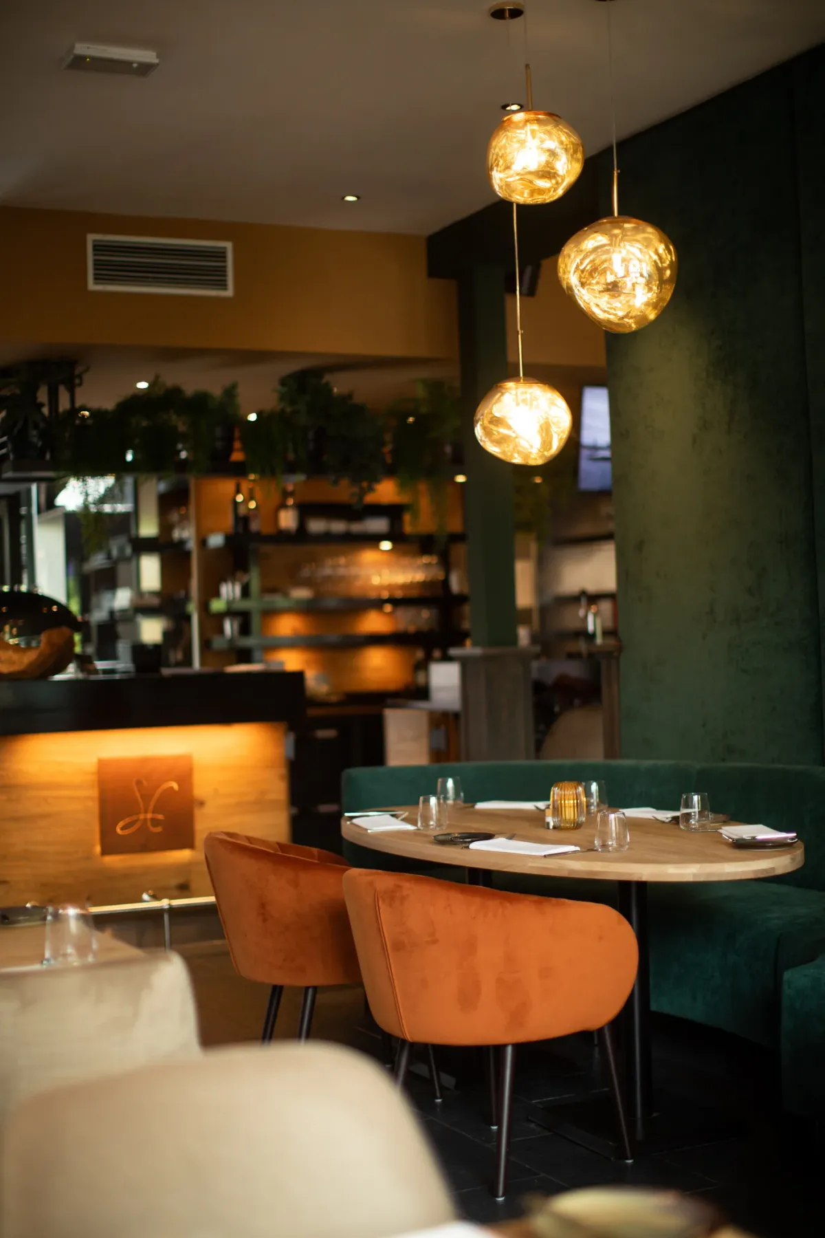 Southern Cross foto 5