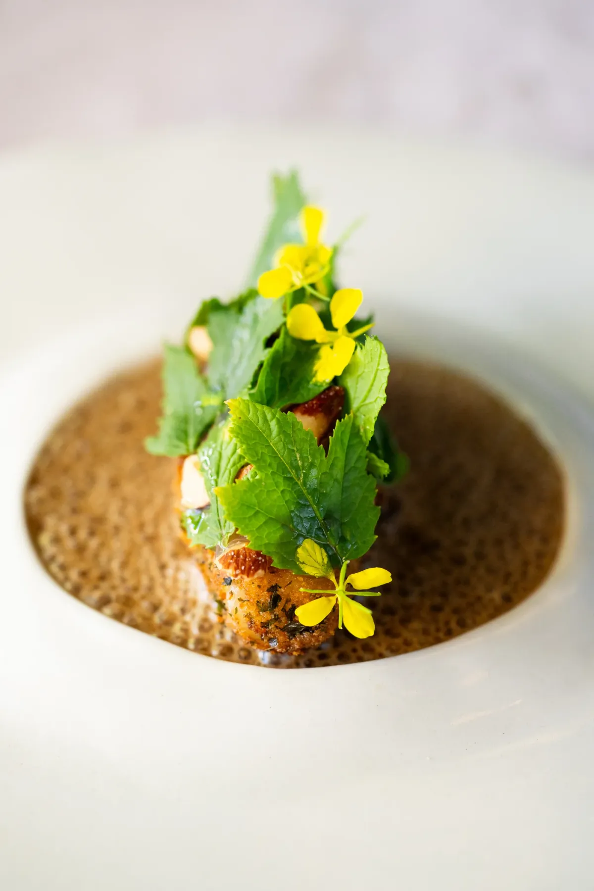 t Kleijn Geluck foto 5