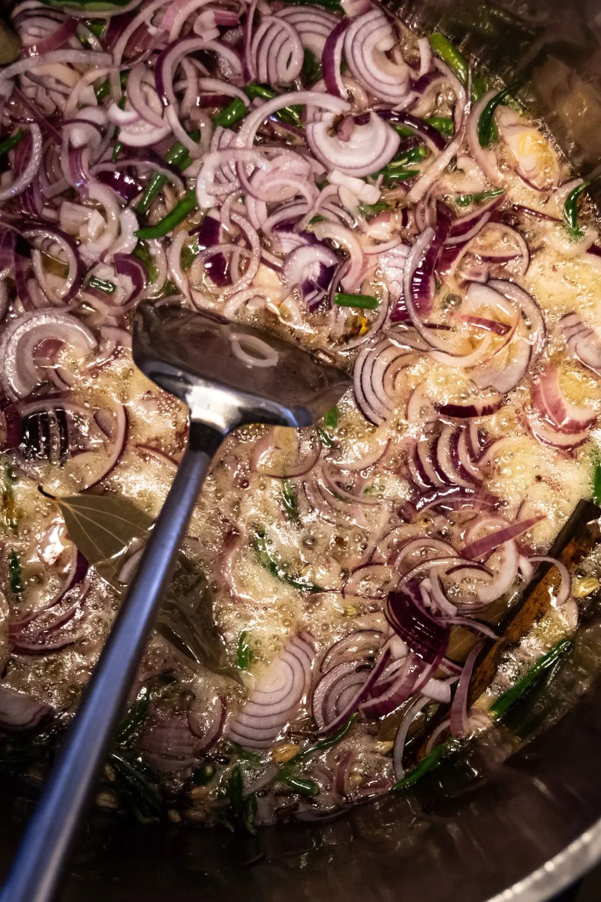 The Madras Diaries foto 5