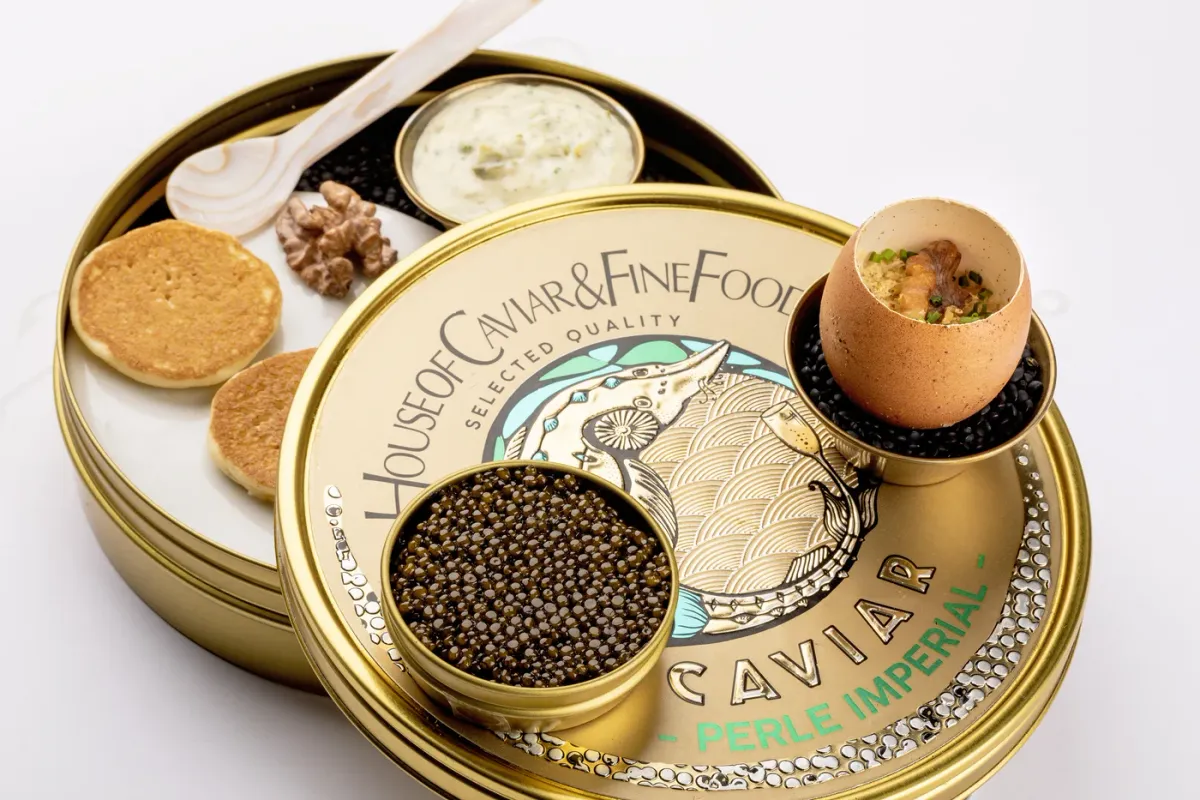 Visaandeschelde foto 2