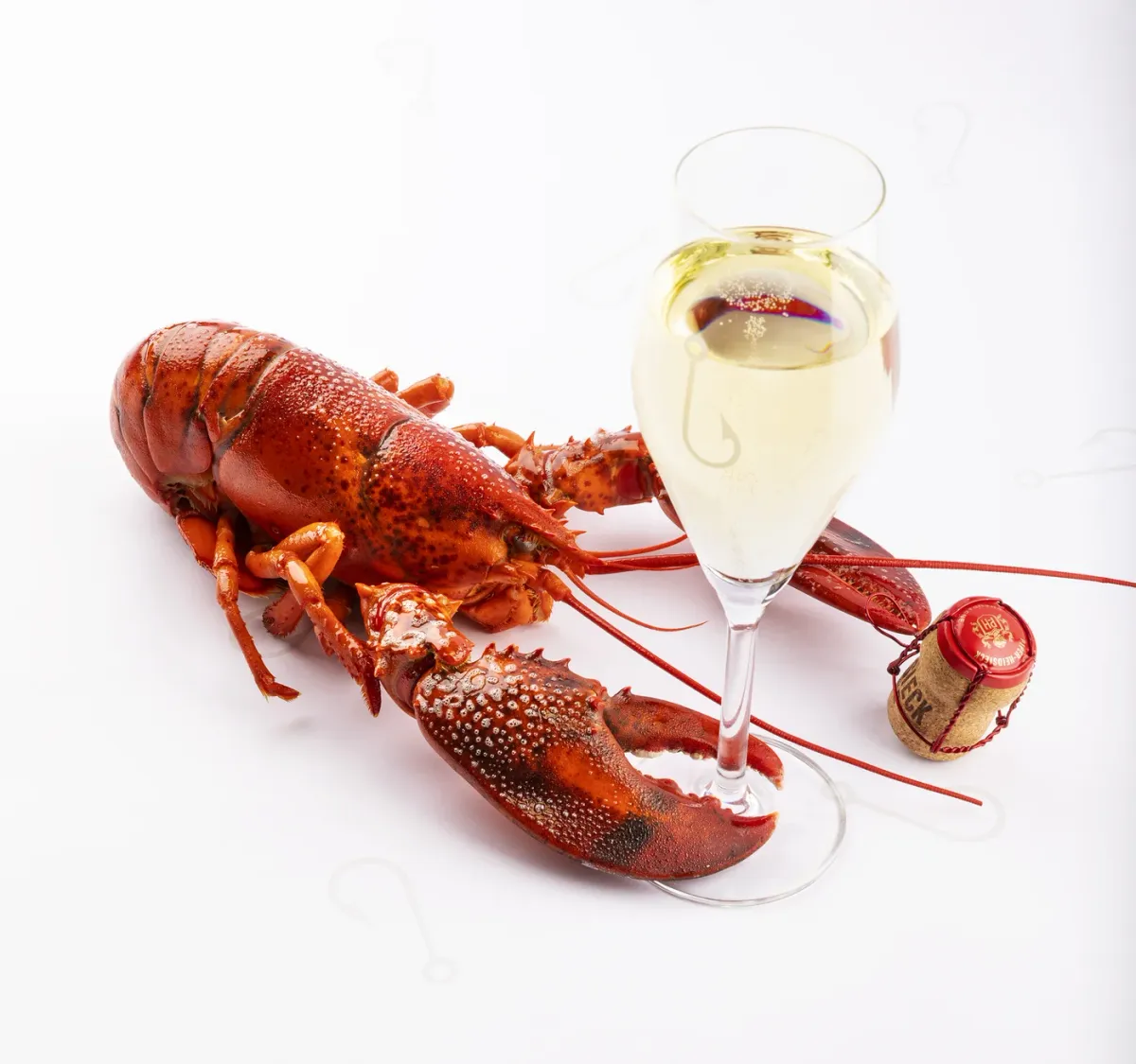 Visaandeschelde foto 4