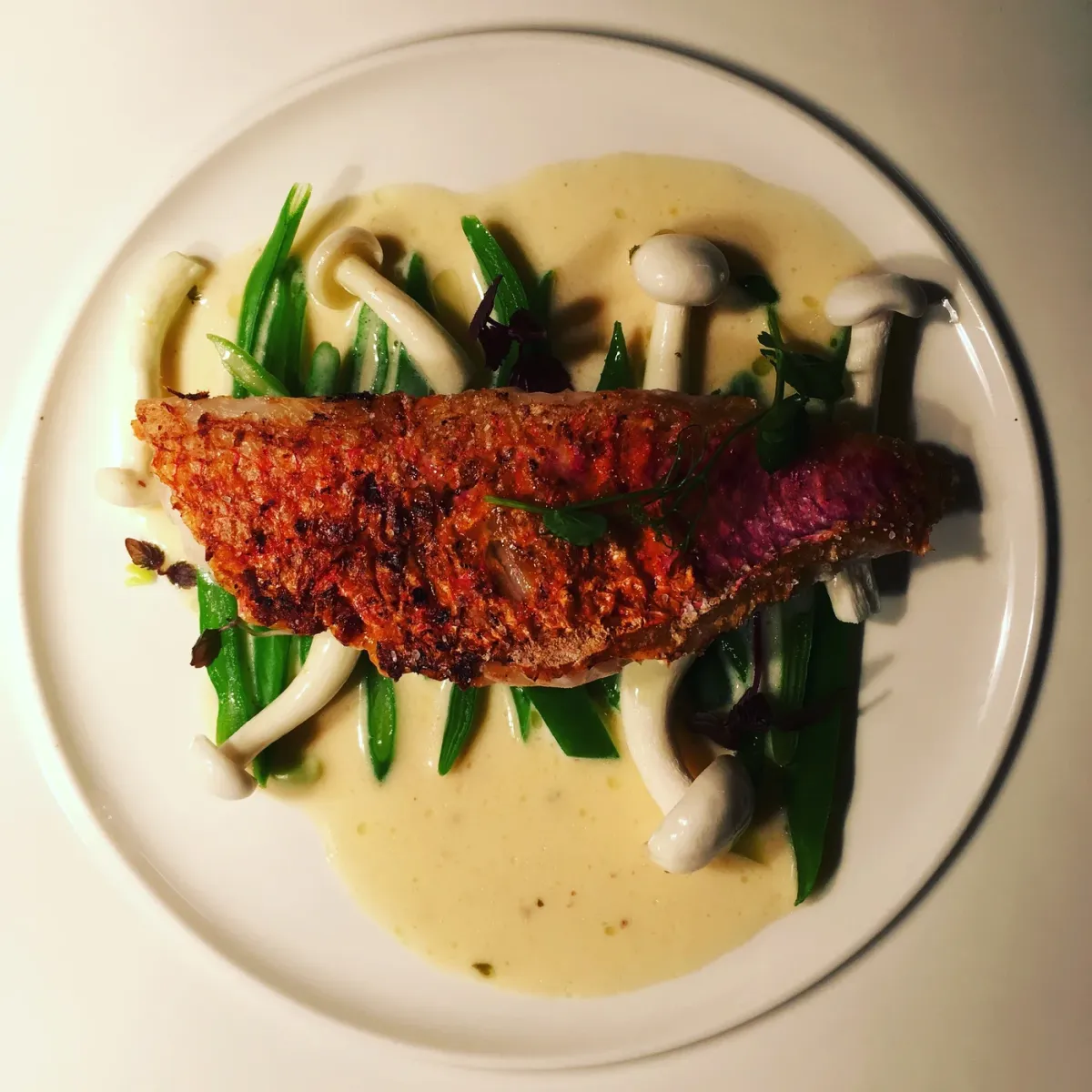 Wijmpje Beukers foto 3