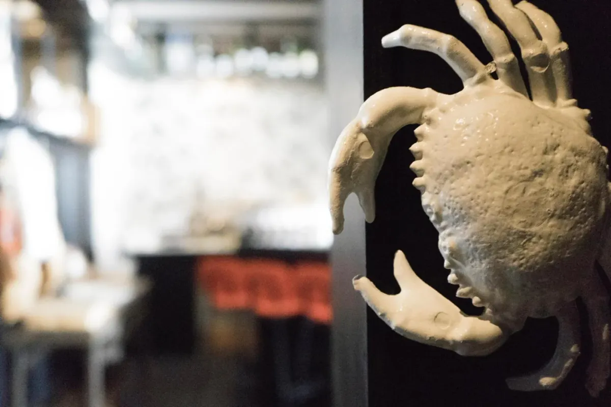 Zuid by Adrian Zarzo