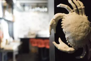 Zuid by Adrian Zarzo